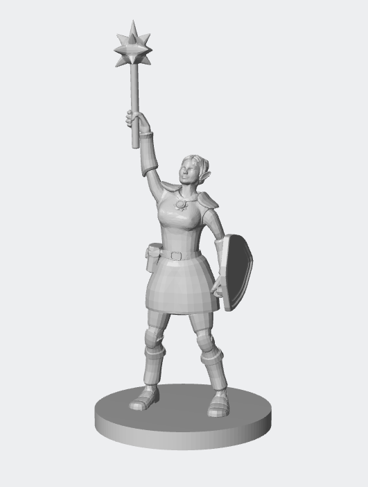 Human Female Paladin Miniature