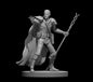 Human Male Abjurer Wizard (Arcane Staff) – RPG Miniature for Dungeons & Dragons, Pathfinder, and Tabletop RPGs