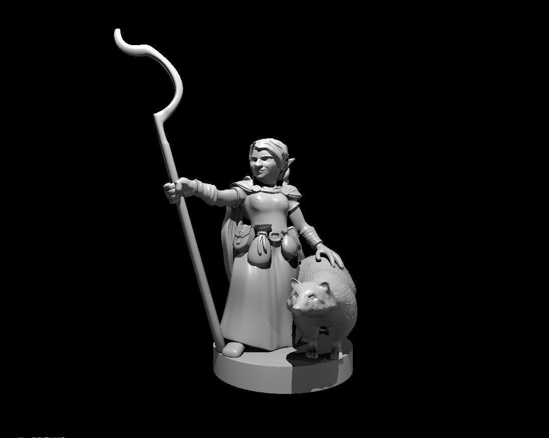 Gnome Female Druid - Blacksheep Industries Laser & Design