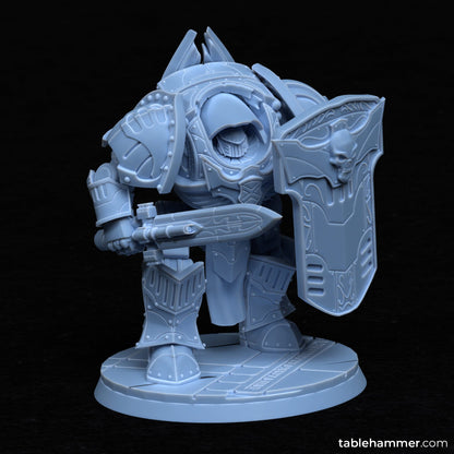 Relic Sarcophagus Ordo Invictorix miniatures