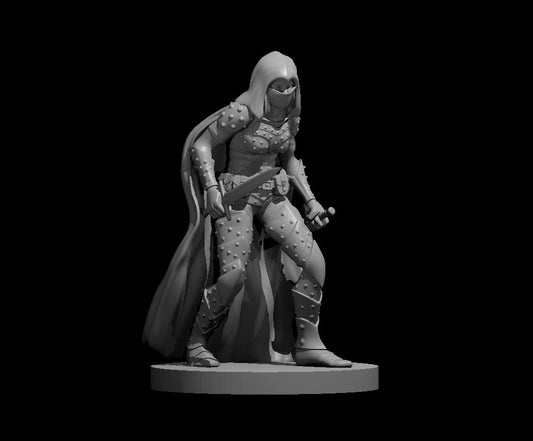Assassin Female (Dual Daggers) – RPG Miniature for Dungeons & Dragons, Pathfinder, and Tabletop RPGs
