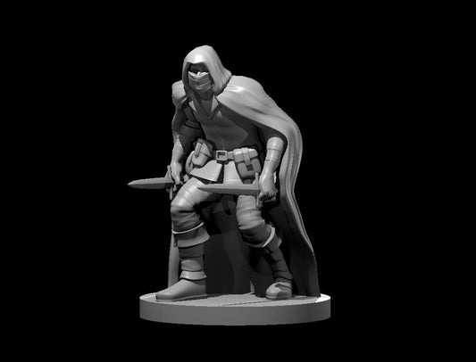 Assassin Male (Dual Daggers) – RPG Miniature for Dungeons & Dragons, Pathfinder, and Tabletop RPGs