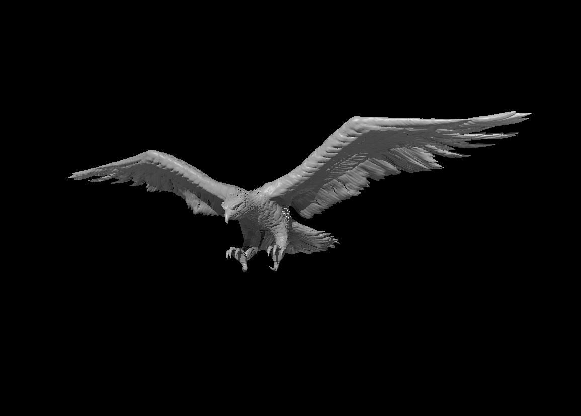 Blood Hawk – RPG Miniature for Dungeons & Dragons, Pathfinder, and Tabletop RPGs