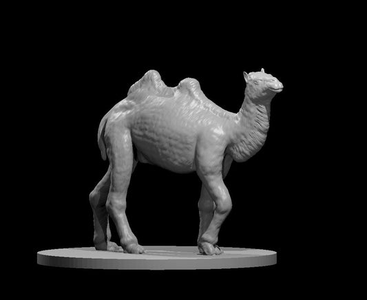 Camel – RPG Miniature for Dungeons & Dragons, Pathfinder, and Tabletop RPGs