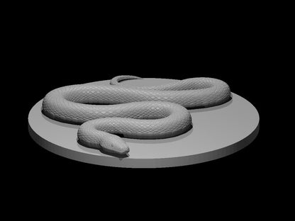 Constrictor Snake RPG Miniature | D&D Pathfinder Beast Creature | Blacksheep Industries - Blacksheep Industries