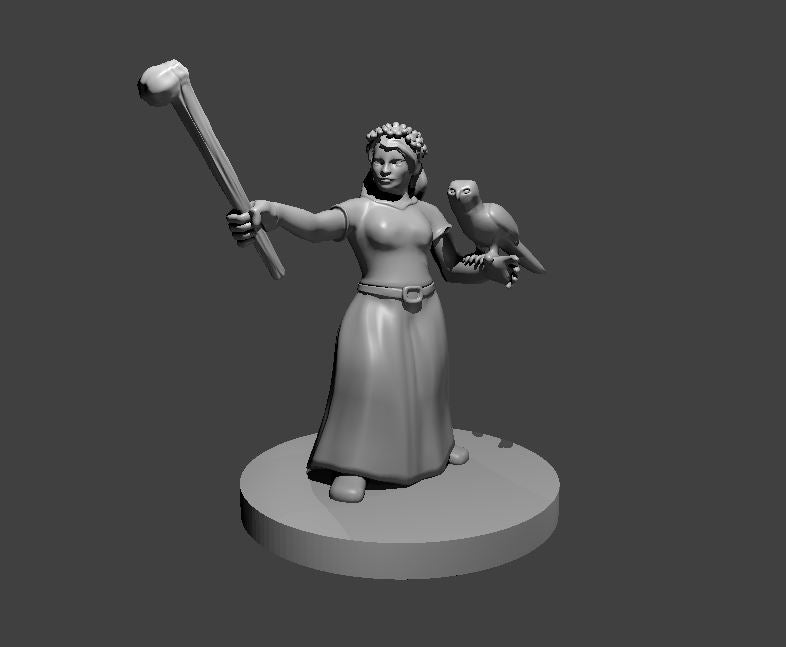 Dwarf Female Druid (Club & Bird Companion) – RPG Miniature for Dungeons & Dragons, Pathfinder, and Tabletop RPGs