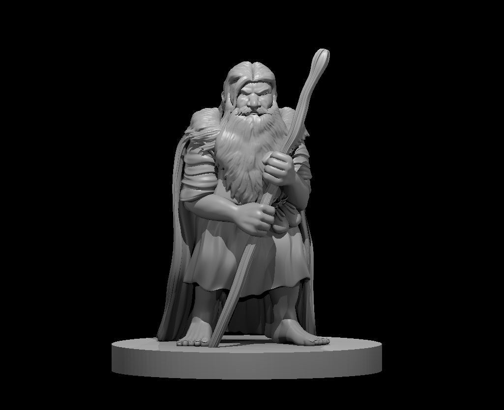 Dwarf Male Druid (Staff) – RPG Miniature for Dungeons & Dragons, Pathfinder, and Tabletop RPGs