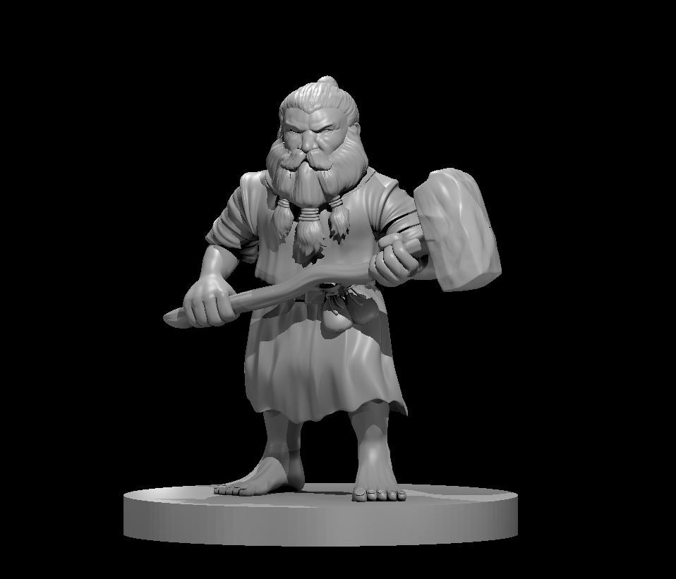 Dwarf Male Druid (Warhammer) – RPG Miniature for Dungeons & Dragons, Pathfinder, and Tabletop RPGs