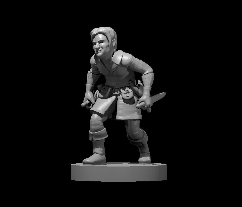 Halfling Male Rogue (Dual Daggers) – RPG Miniature for Dungeons & Dragons, Pathfinder, and Tabletop RPGs
