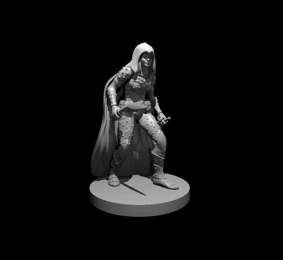Human Female Rogue (Dual Swords) – RPG Miniature for Dungeons & Dragons, Pathfinder, and Tabletop RPGs
