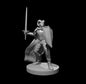 Tiefling Male Paladin (Sword & Kite Shield) – RPG Miniature for Dungeons & Dragons, Pathfinder, and Tabletop RPGs
