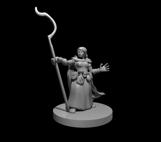 Dwarf Female Druid with Staff - Blacksheep Industries Laser & Design