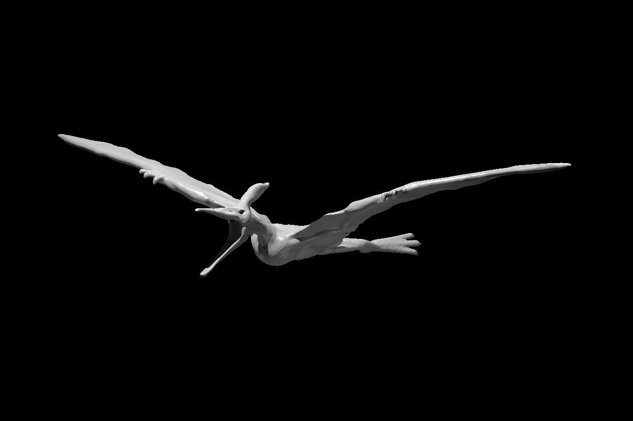 Dinosaur: Pteranodon - RPG Miniature